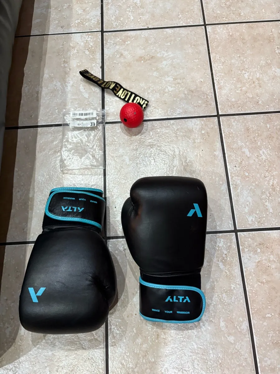 PUNCH BAG, KICK PADS, BOXING GLOVES + BOX A BALL! - Image 2