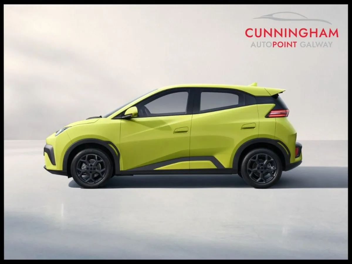 BYD Other Comfort 43.2kWh 155BHP - Image 3