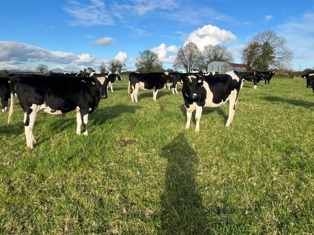 Nigel Rothwell sells - Image 1