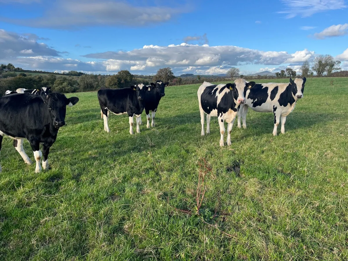 Nigel Rothwell sells - Image 2