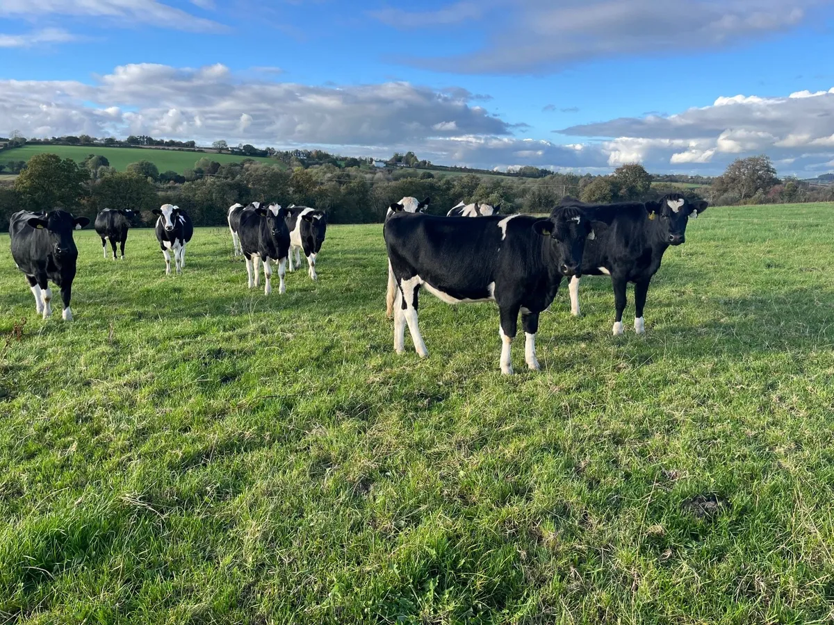 Nigel Rothwell sells - Image 3