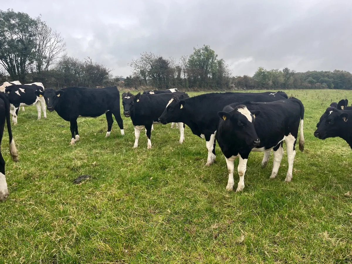 Nigel Rothwell sells - Image 4