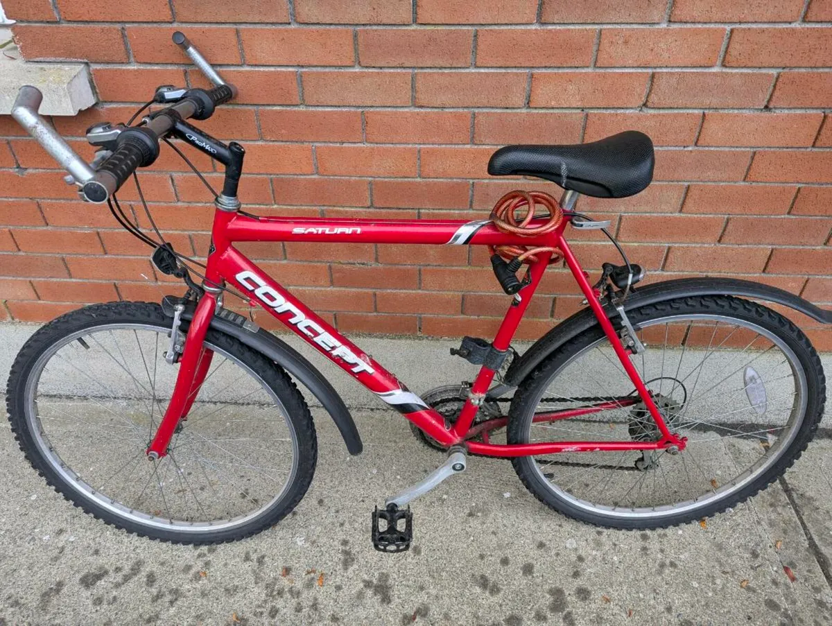 Gents bike - Image 2