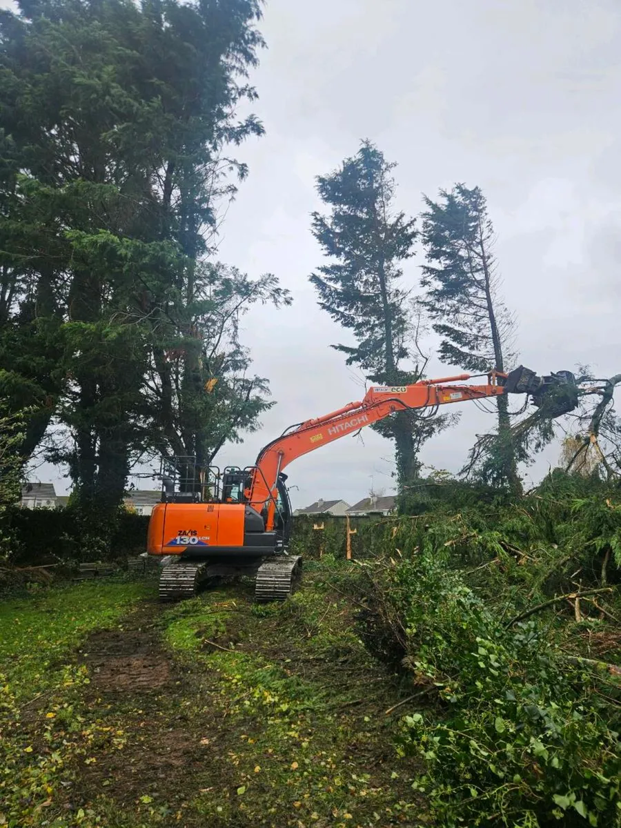 driver wanted - Image 4