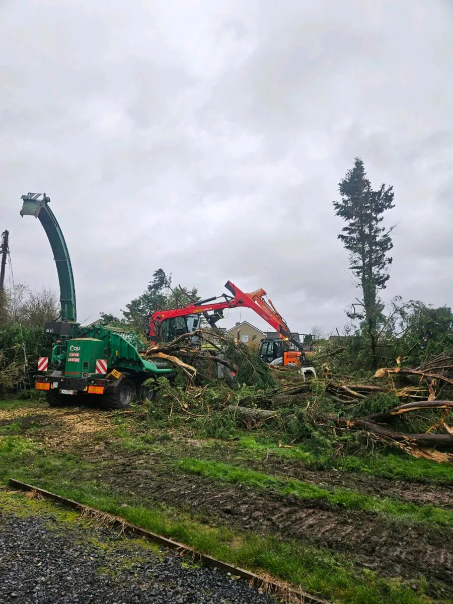 driver wanted - Image 3