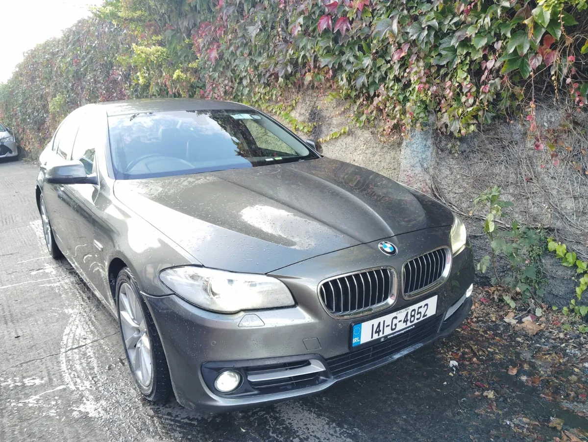 2014 BMW 520D Automatic Twin Turbo low KM - Image 2