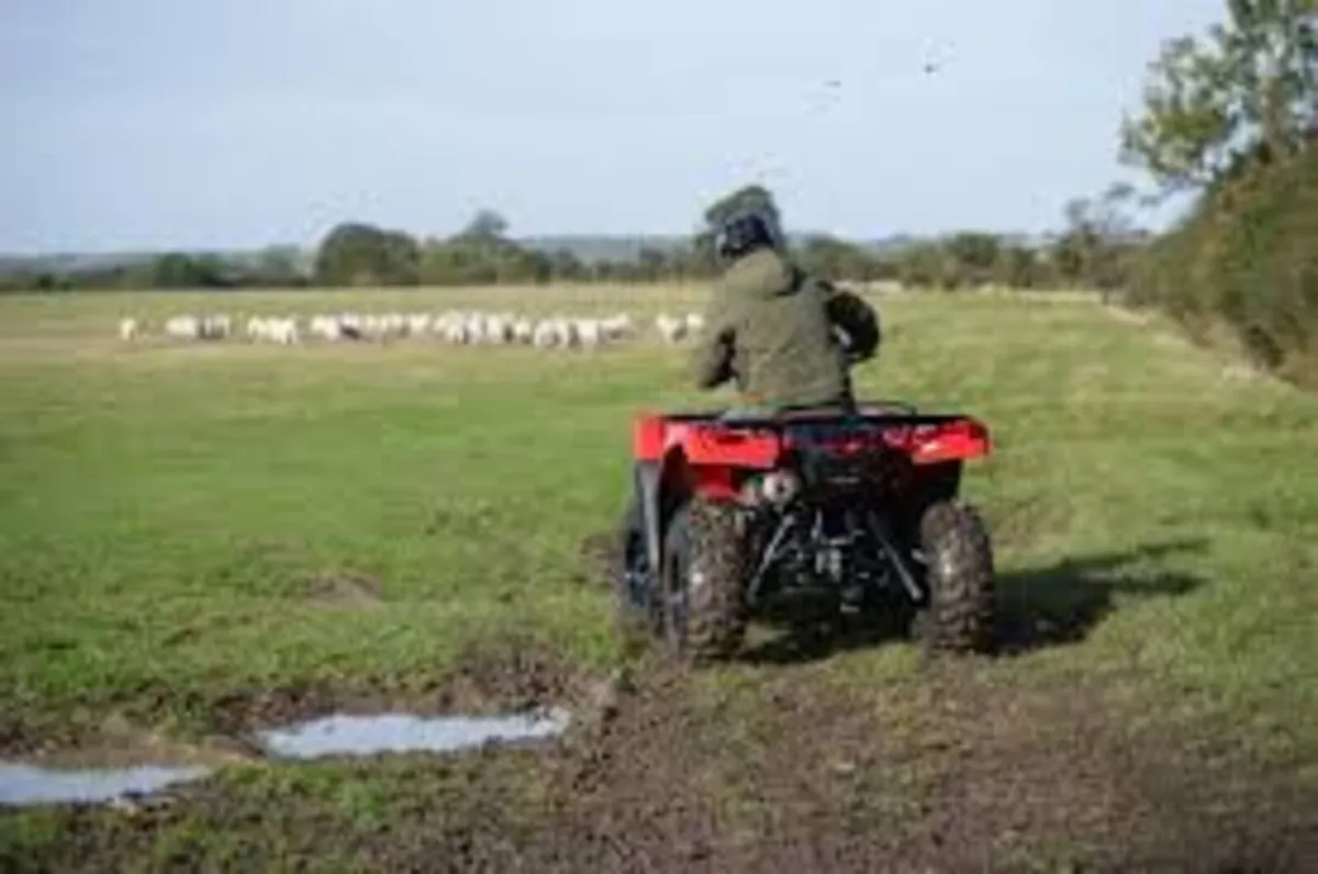 420 automatic Honda Quad/ATV - Image 3