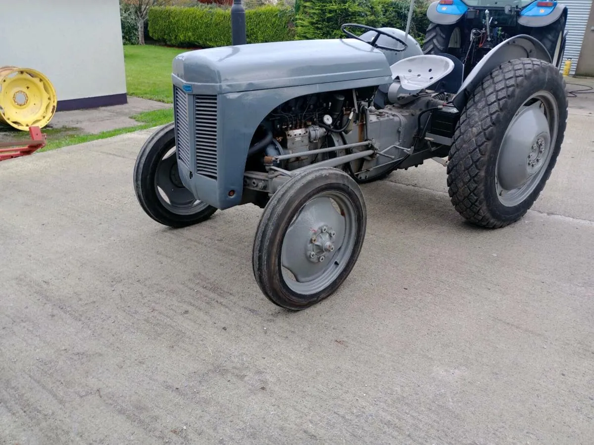 Grey Ferguson TE20 diesel - Image 1