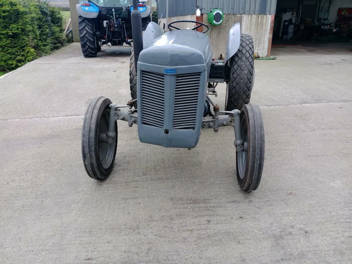 Grey Ferguson TE20 diesel - Image 2