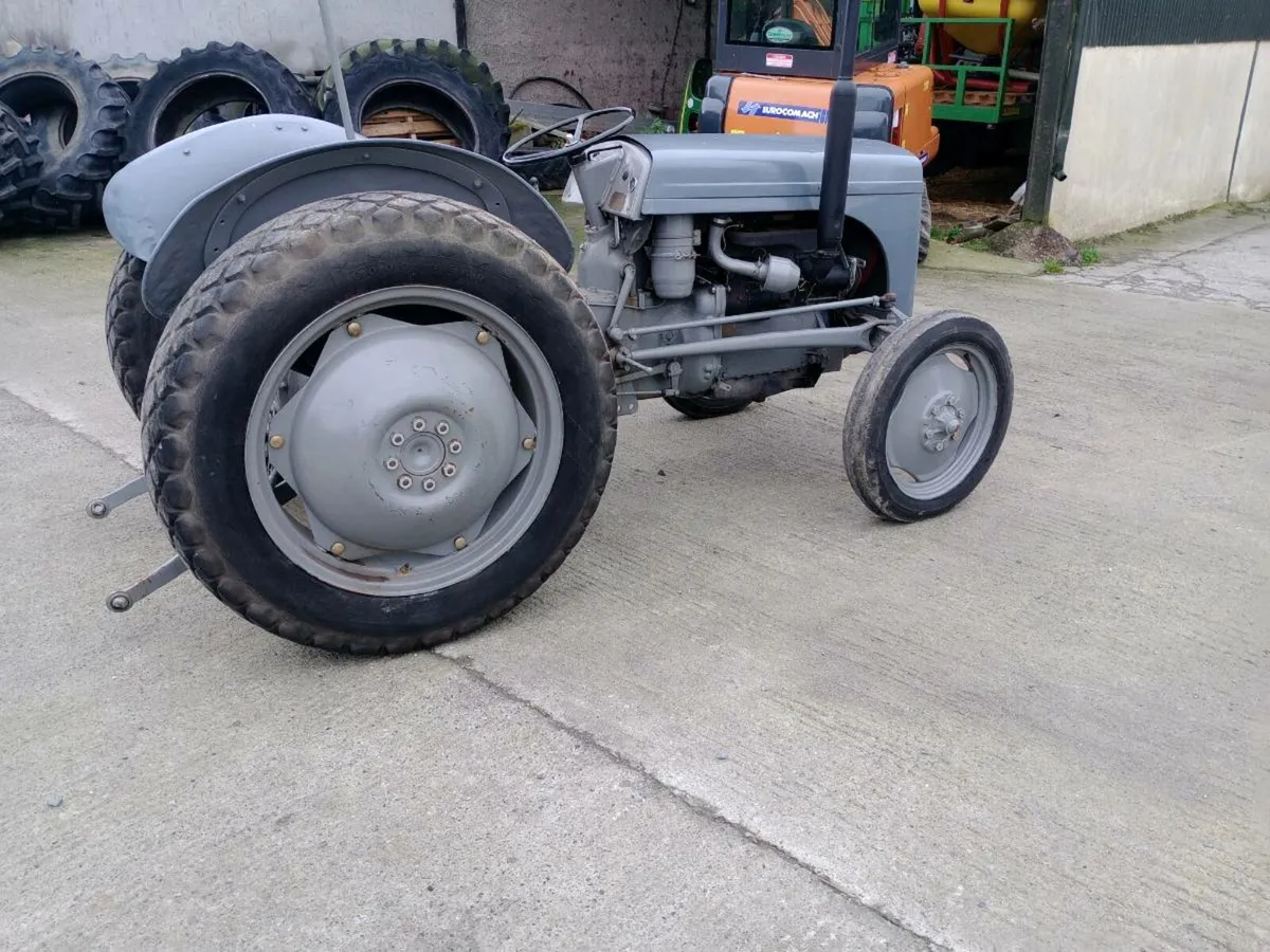 Grey Ferguson TE20 diesel - Image 3
