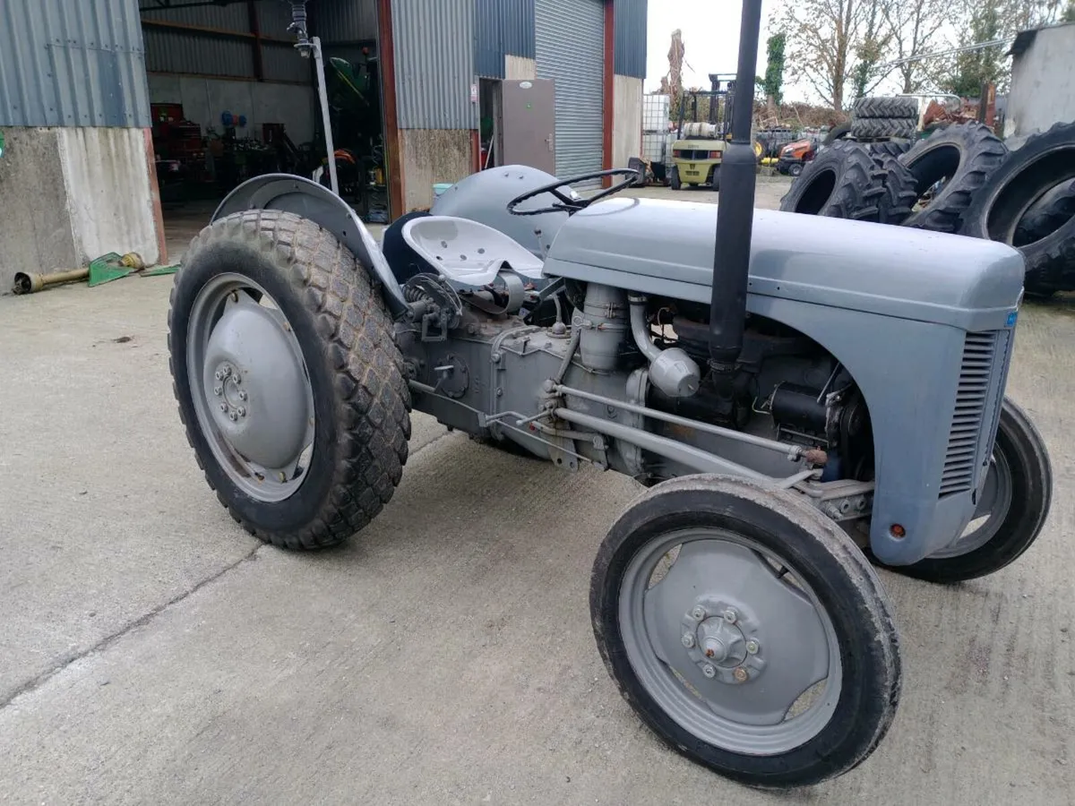 Grey Ferguson TE20 diesel - Image 4