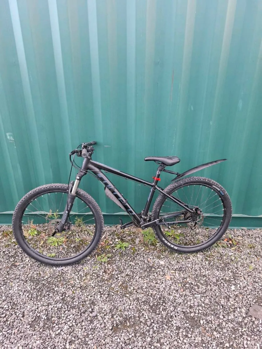 Carrera Vengeance - Image 1