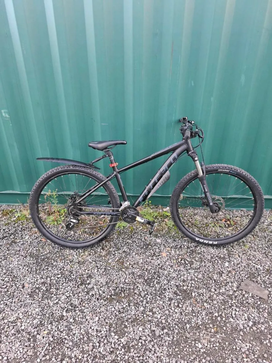 Carrera Vengeance - Image 4