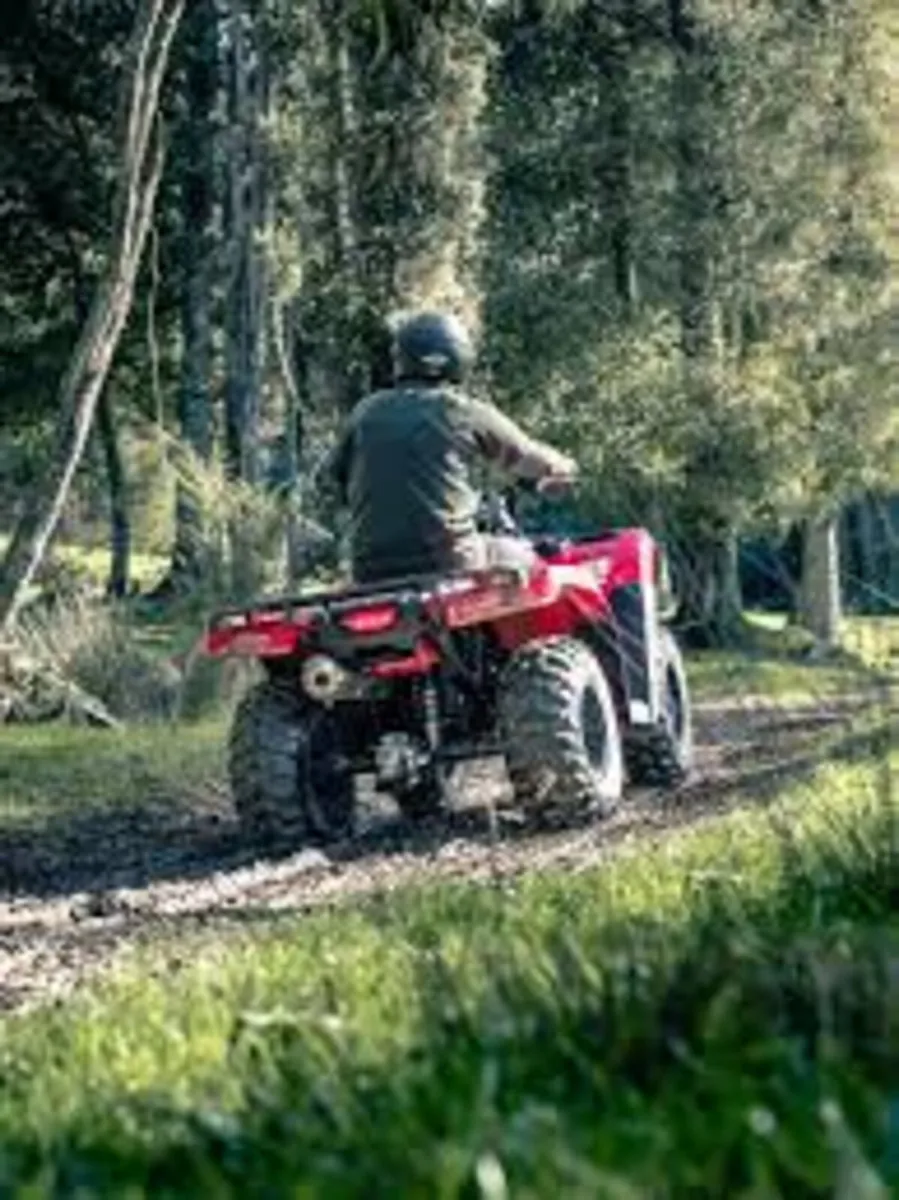 420 Electric Shift Honda Quad/ATV - Image 2