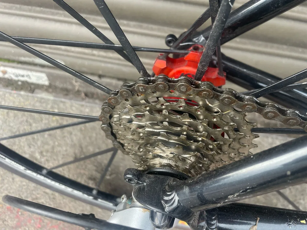 Carrera  T D F  medium racer €150 - Image 3