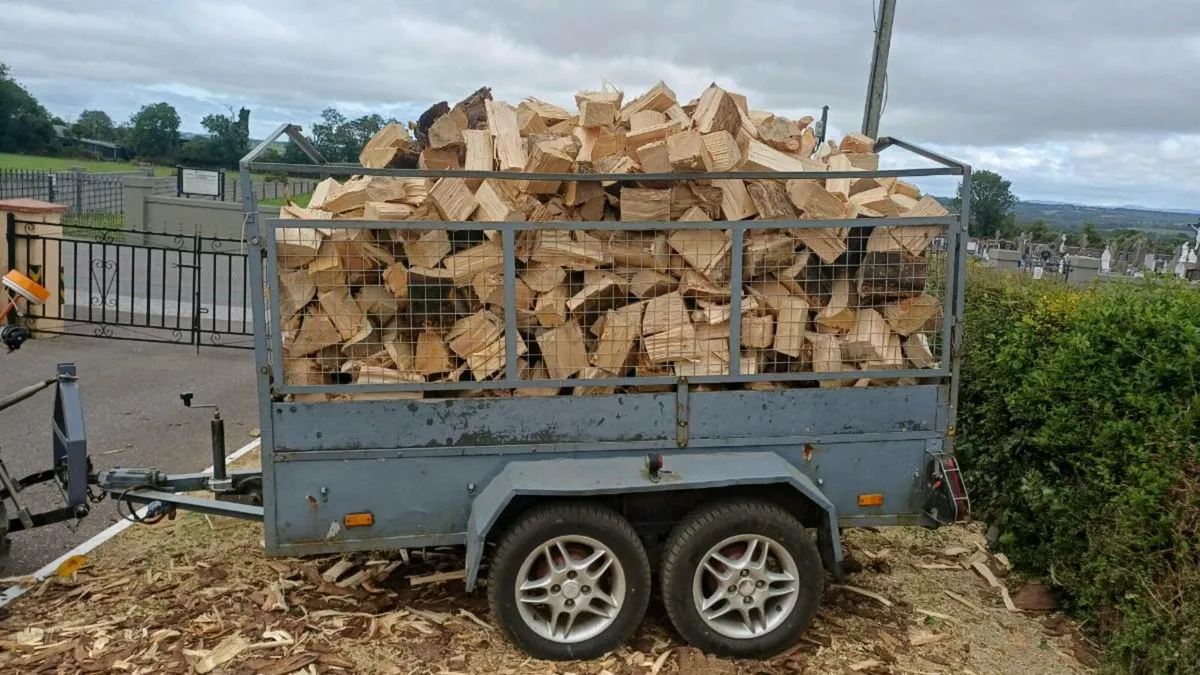 Firewood - Image 1