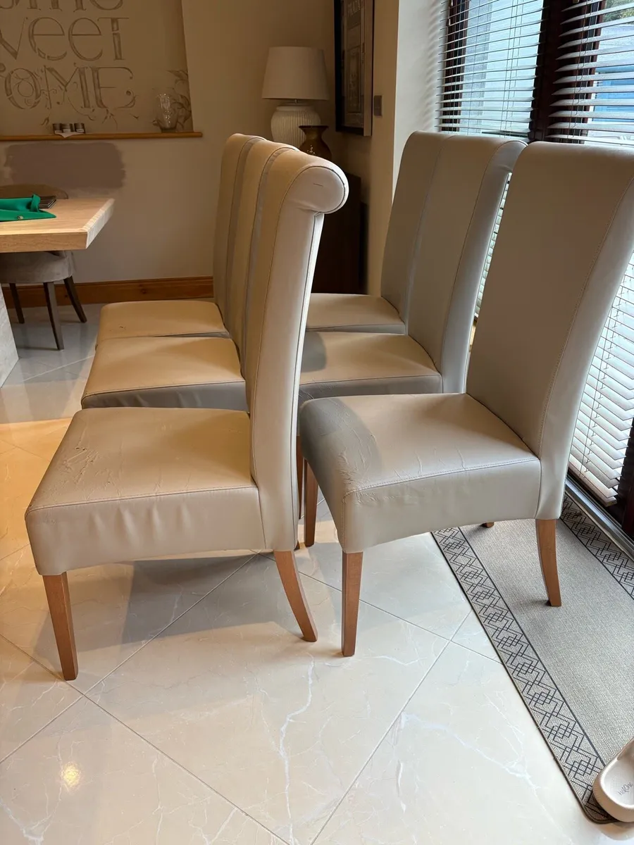 6 Dining chairs - Image 1