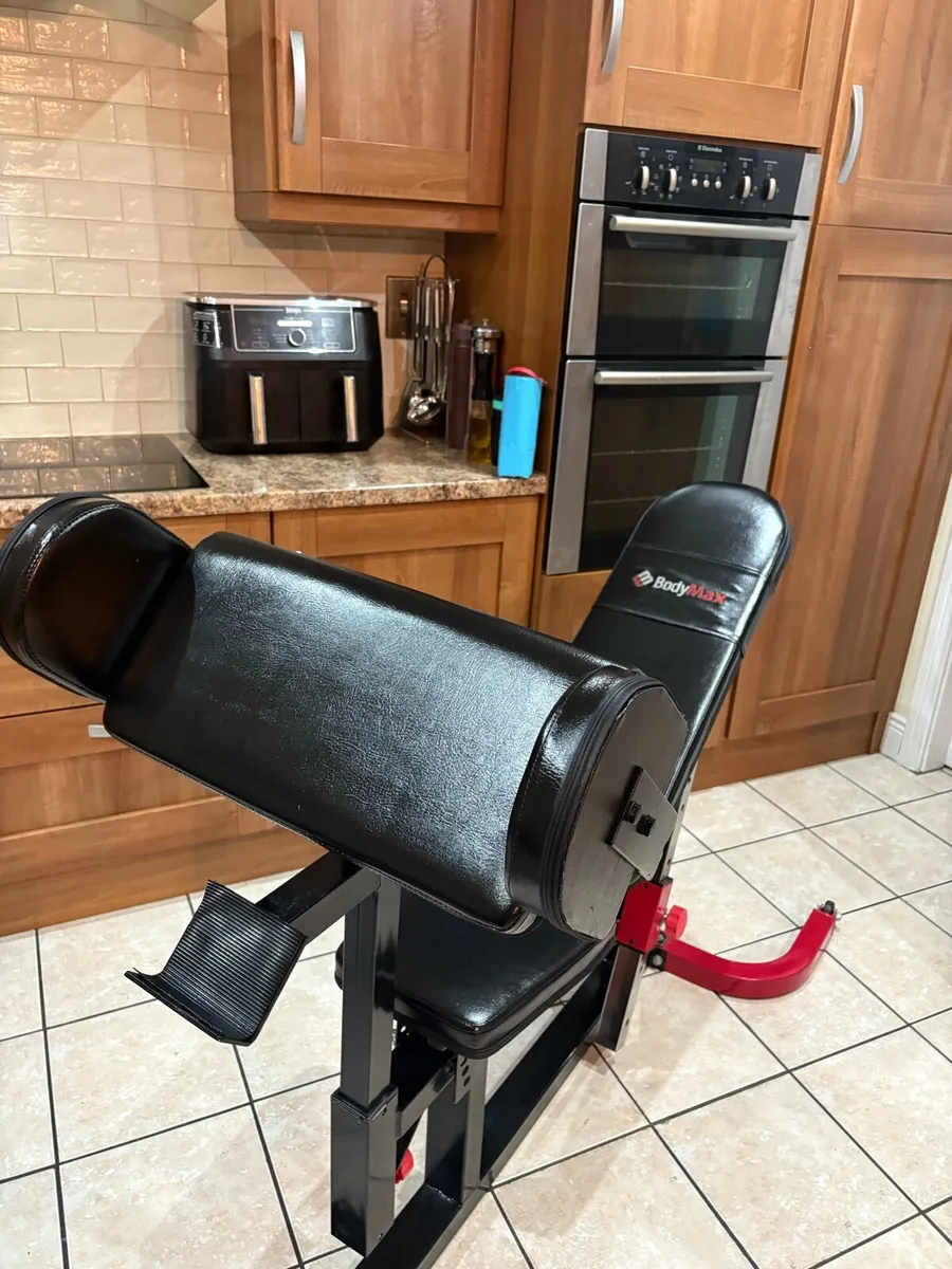 UNBELIEVABLE WEIGHT BENCH SYSTEM + LEGS AND BICEP! - Image 4