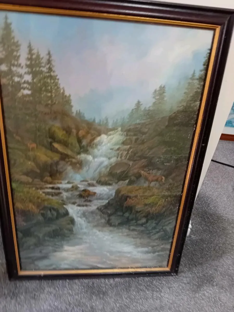 3 PICTURES - Image 1