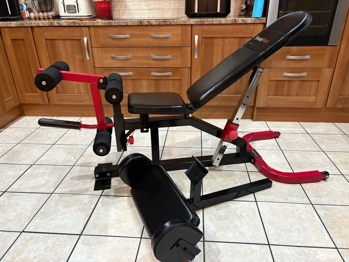 UNBELIEVABLE WEIGHT BENCH SYSTEM + LEGS AND BICEP! - Image 1