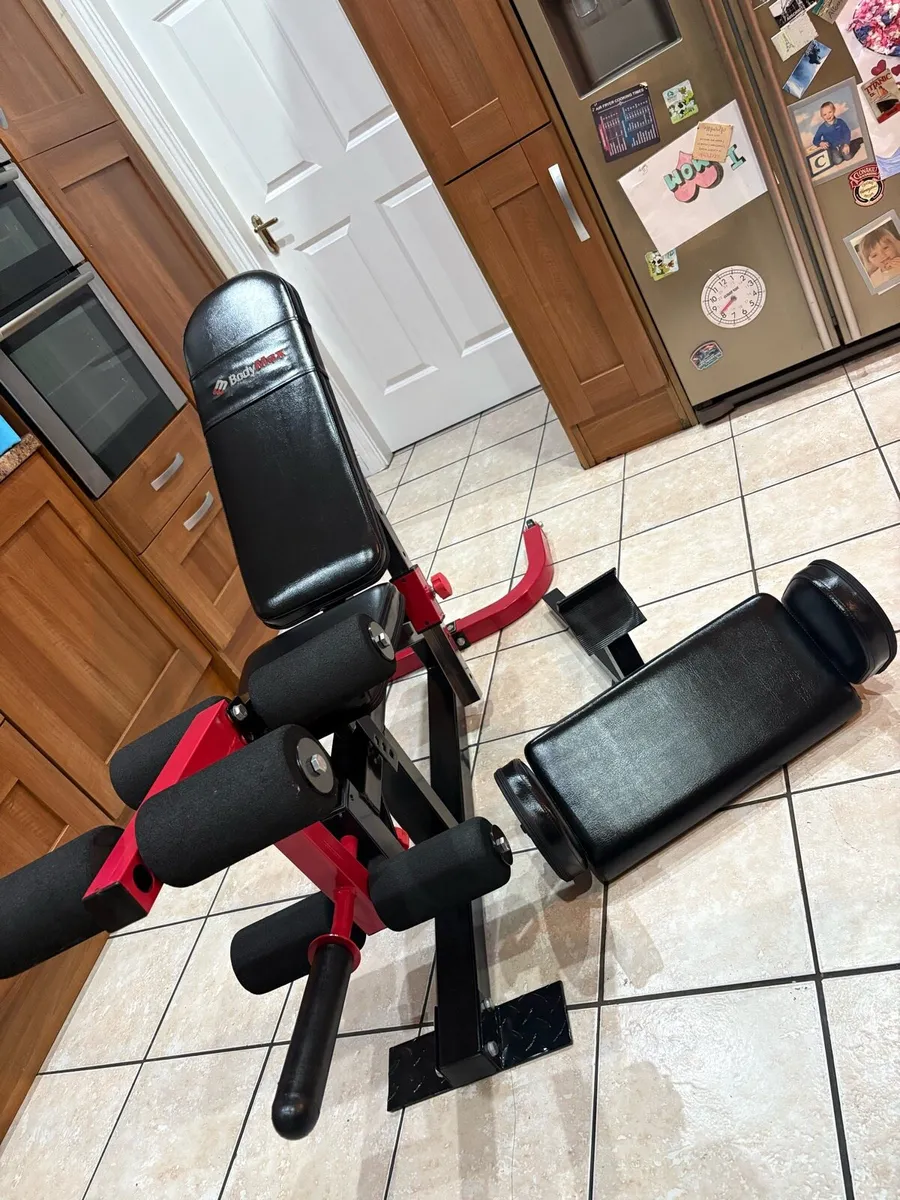 UNBELIEVABLE WEIGHT BENCH SYSTEM + LEGS AND BICEP! - Image 2