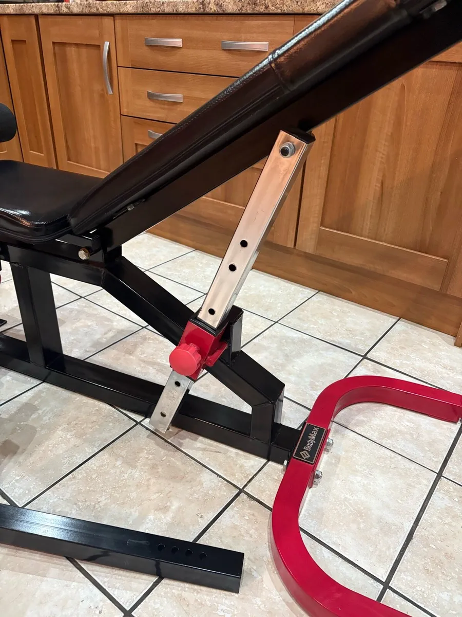 UNBELIEVABLE WEIGHT BENCH SYSTEM + LEGS AND BICEP! - Image 3