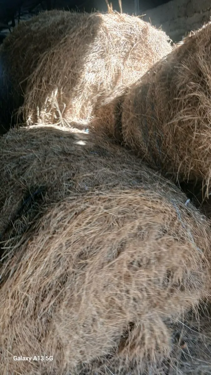 Hay Bales For Sale (Co.Wicklow) - Image 1