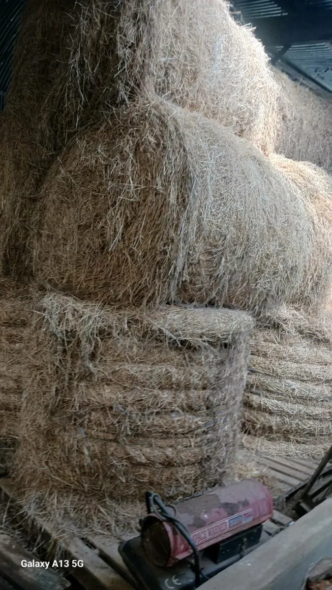 Hay Bales For Sale (Co.Wicklow) - Image 2
