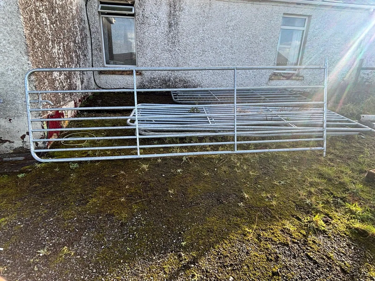 13ft galvanised sheep gates - Image 1