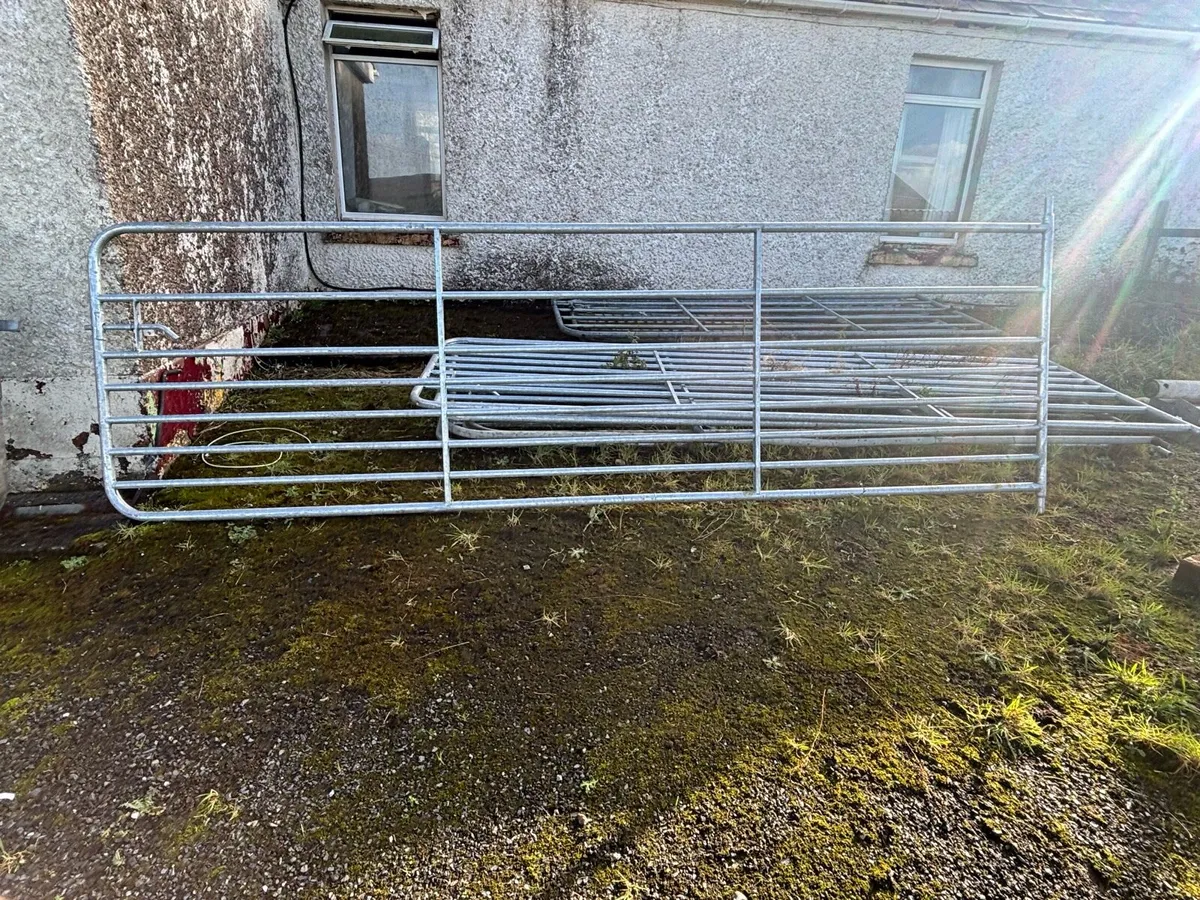 13ft galvanised sheep gates - Image 3