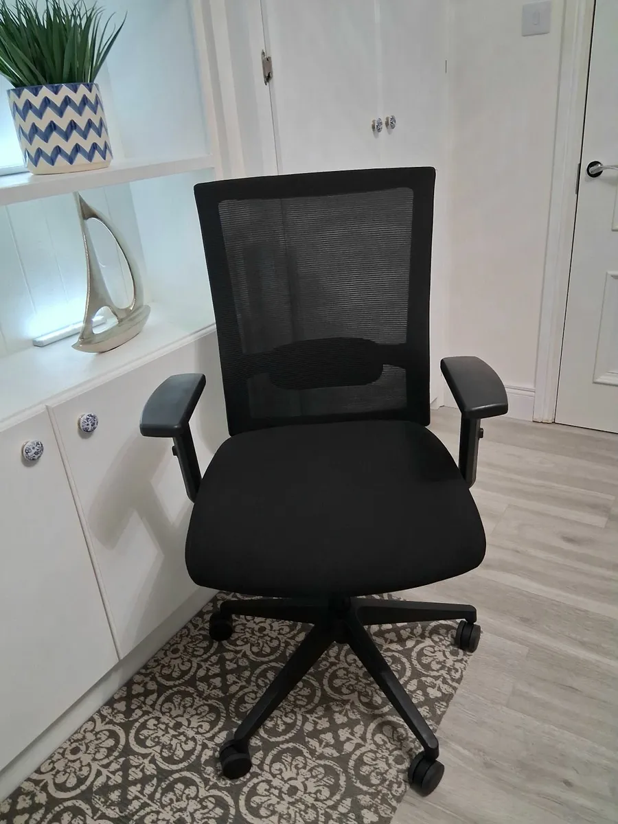 Ergonomic Office Chair - Image 1