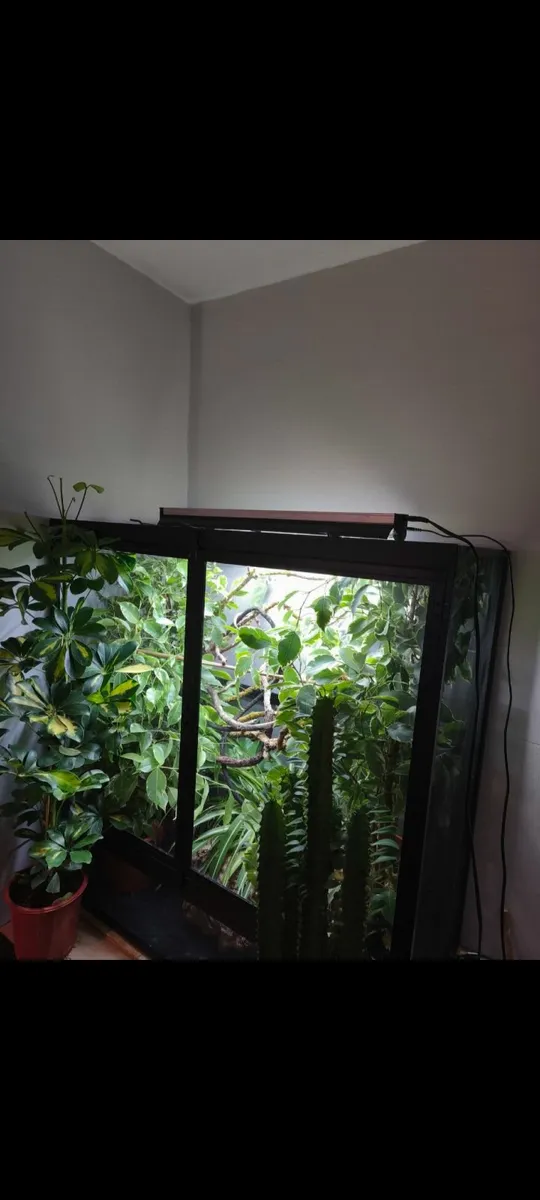 Zoo med XL double door chameleon enclosure - Image 1