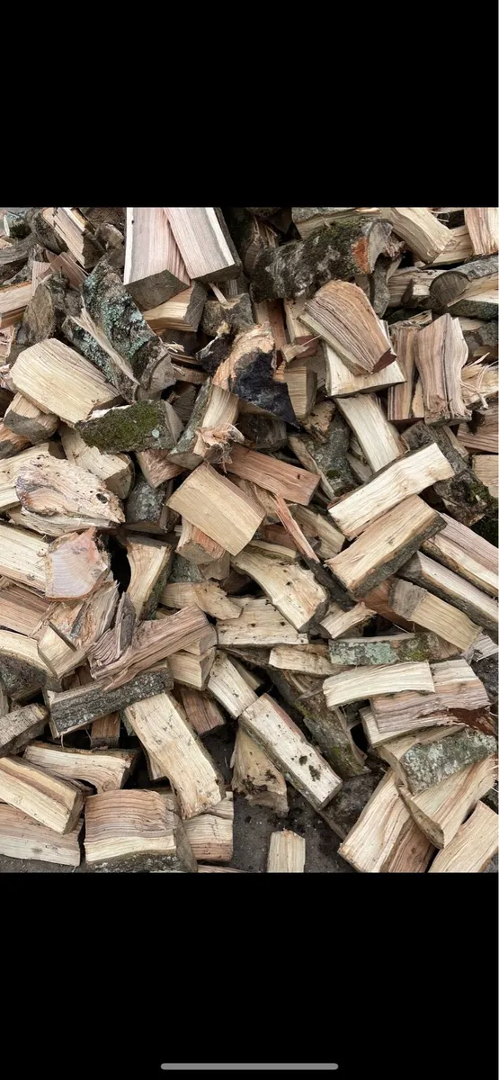 Hardwood Firewood - Image 2