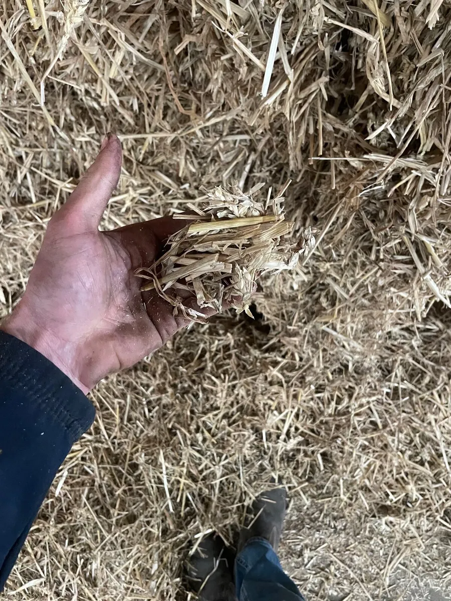 Straw - Image 4