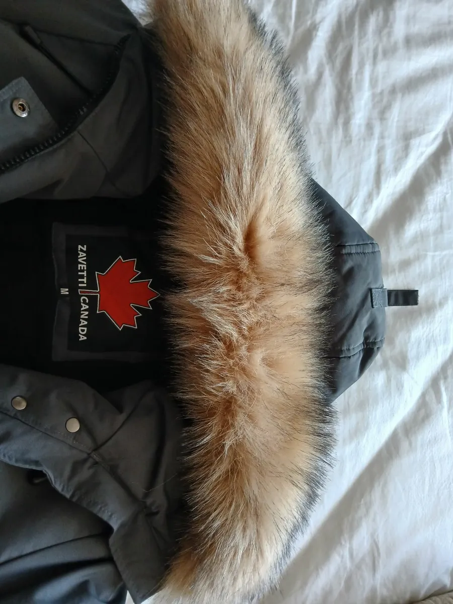 Womens Zavetti Jacket - Image 2