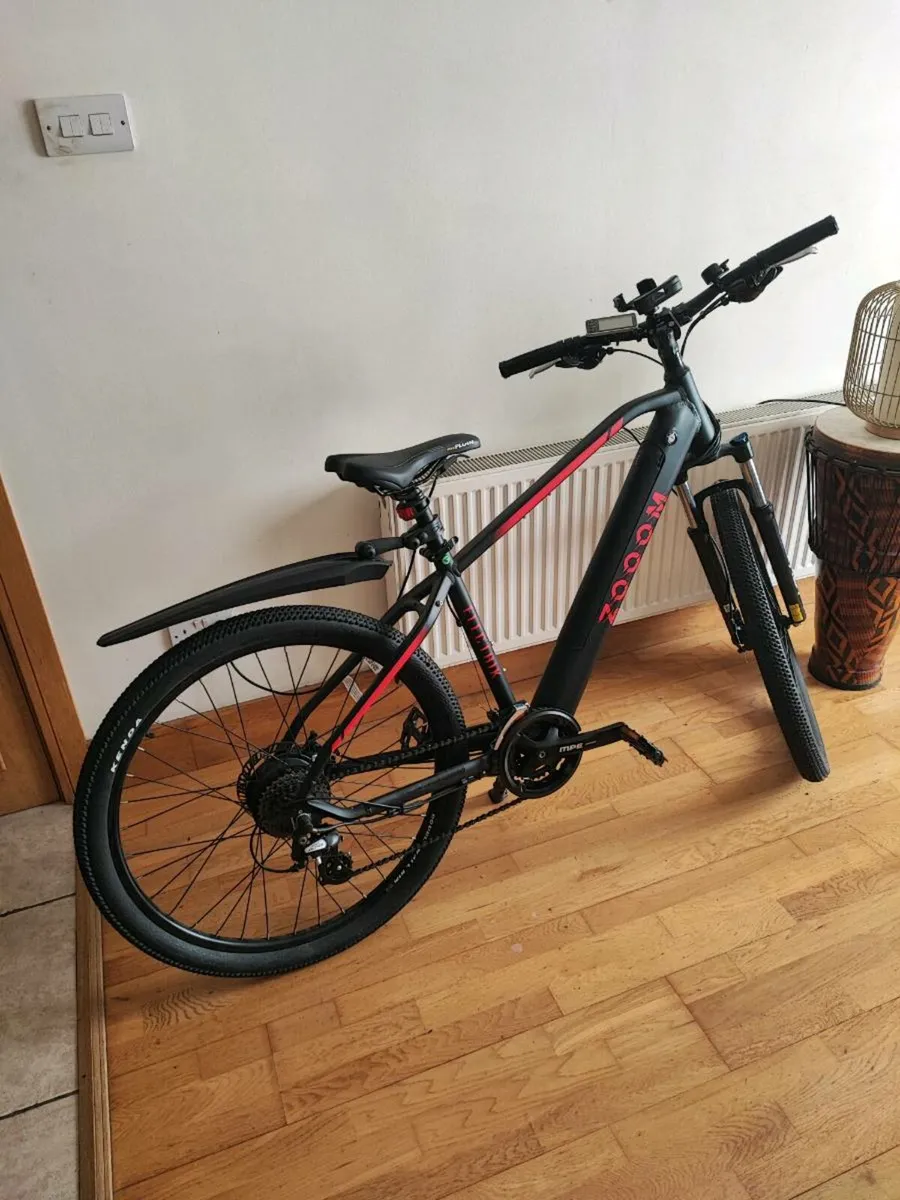 Electric bike - Image 2