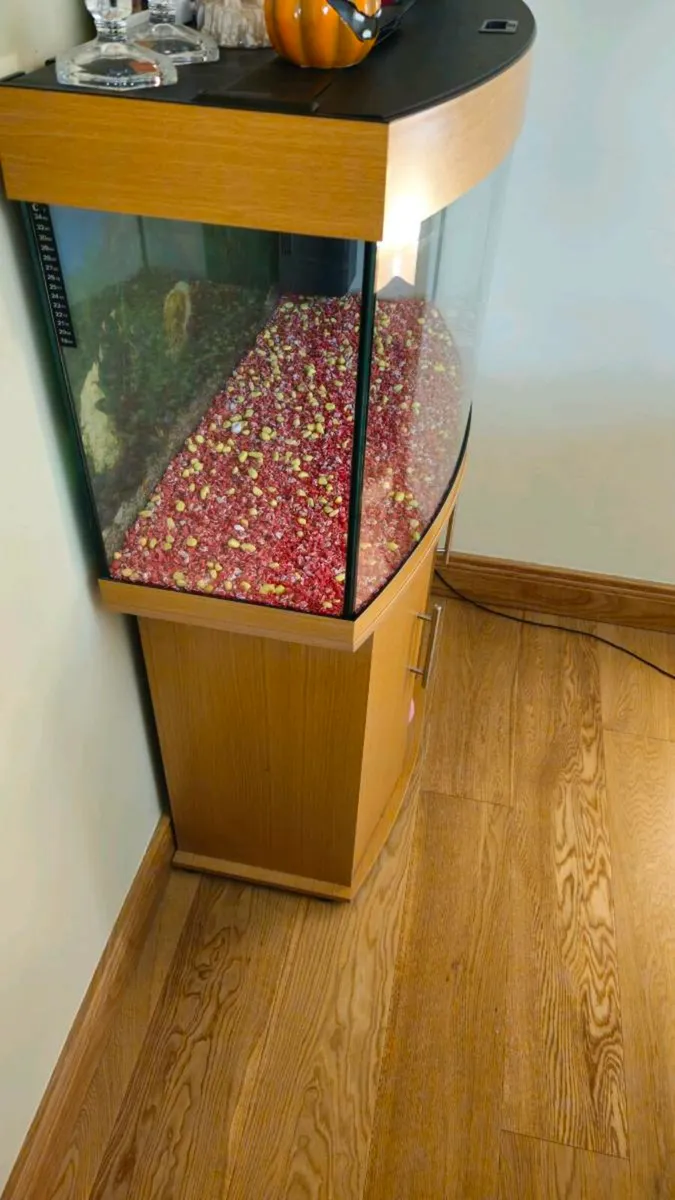 Juwel Vision 180 Fish Tank & Cabinet - Image 4