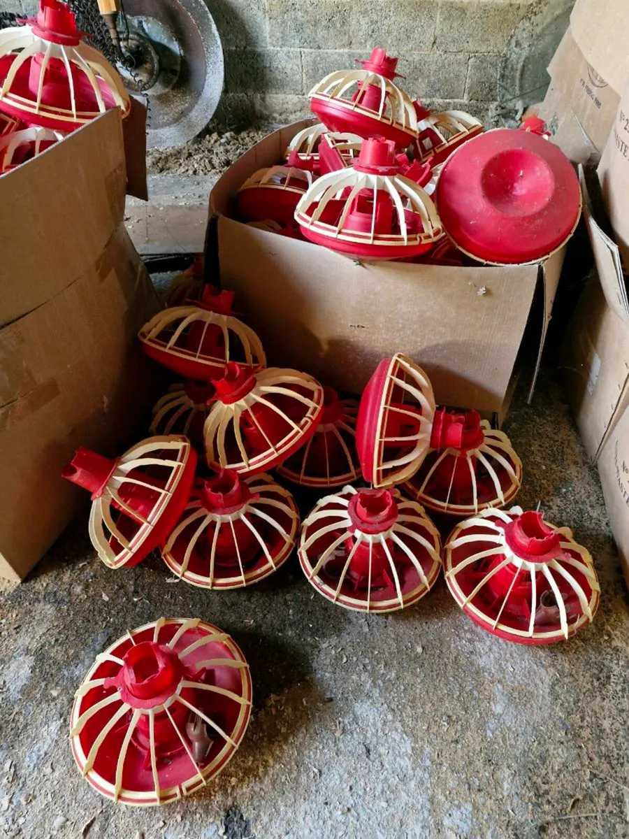 Poultry Equipment - Image 1