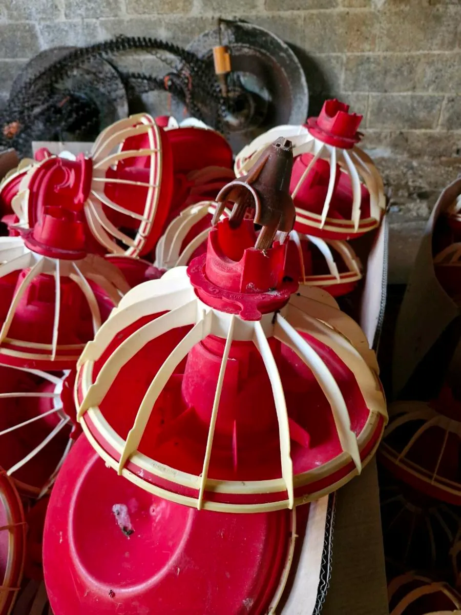 Poultry Equipment - Image 2