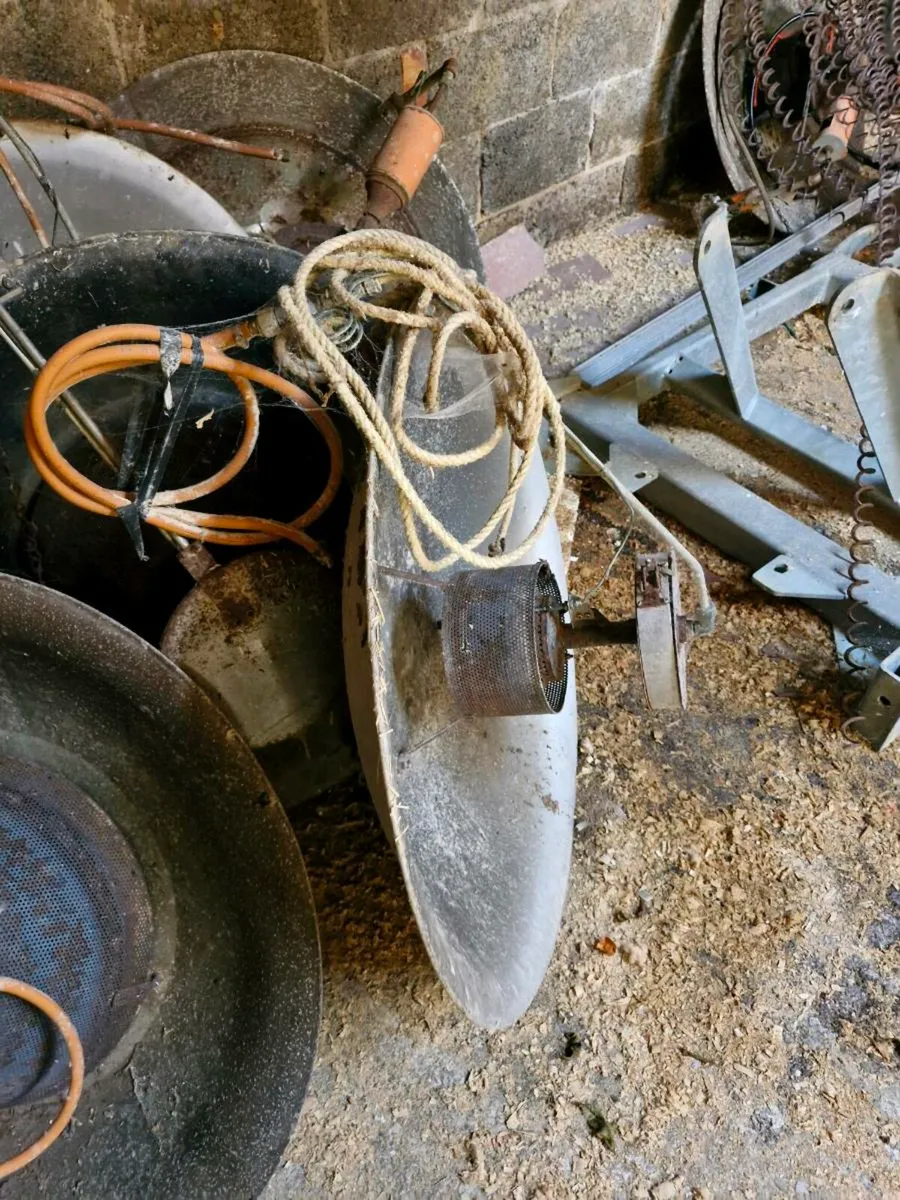 Poultry Equipment - Image 4