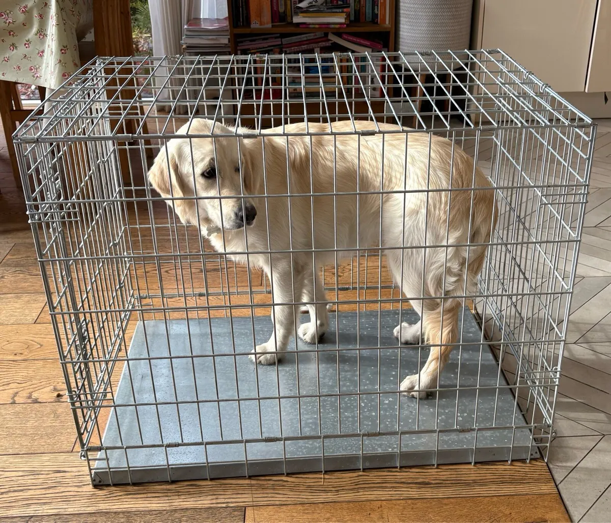 Large Dog Crate - Image 1