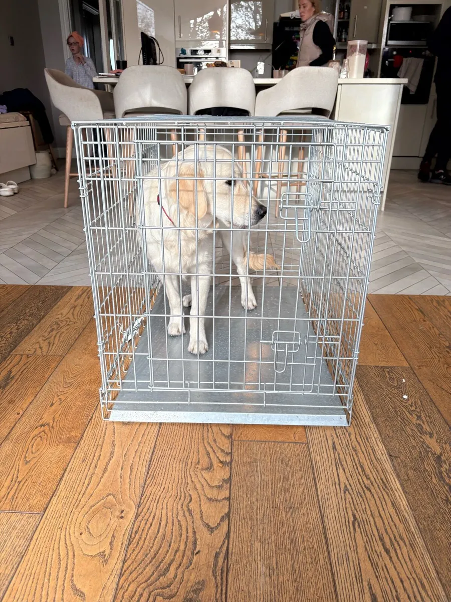 Large Dog Crate - Image 2