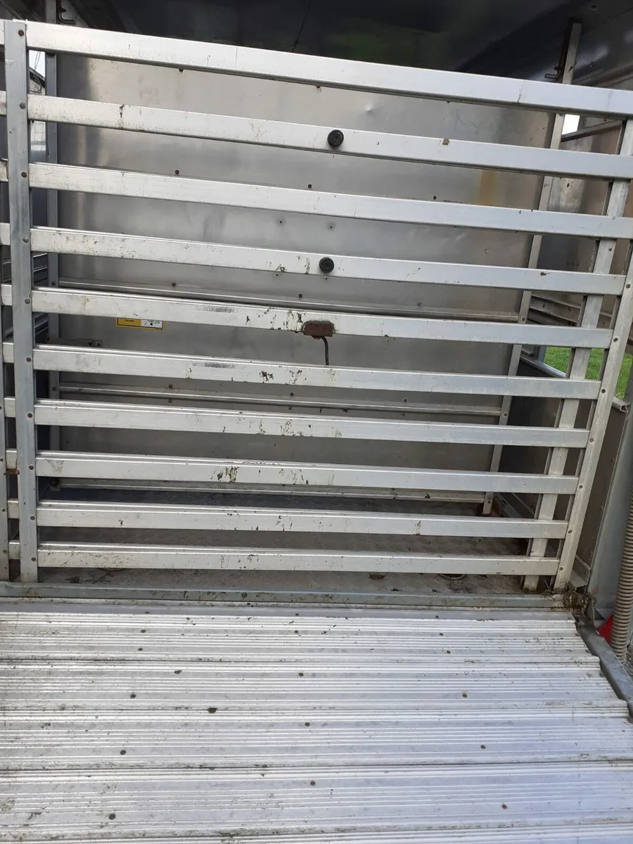 Cattle Trailer 10x 6 - Image 4