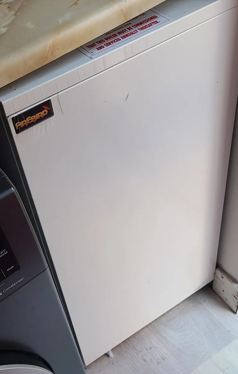 Firebird Condensing Boiler - Image 1