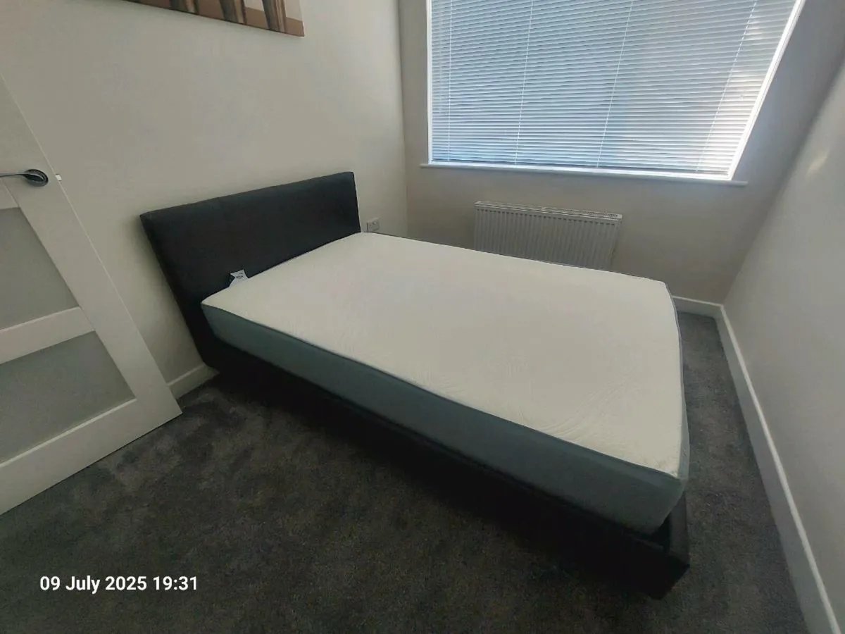 Double Bad 4ft - Image 1