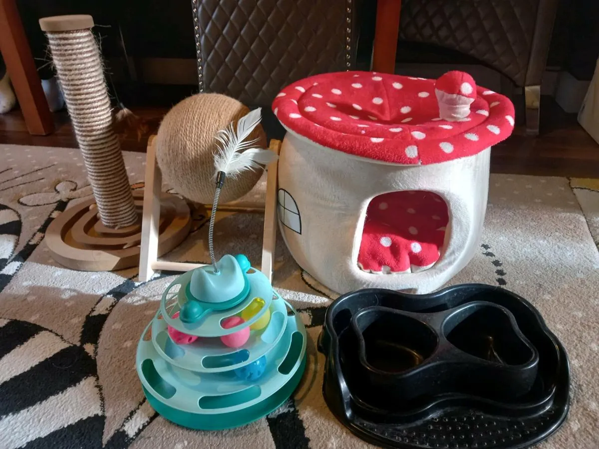 Cat post cat accessories - Image 1