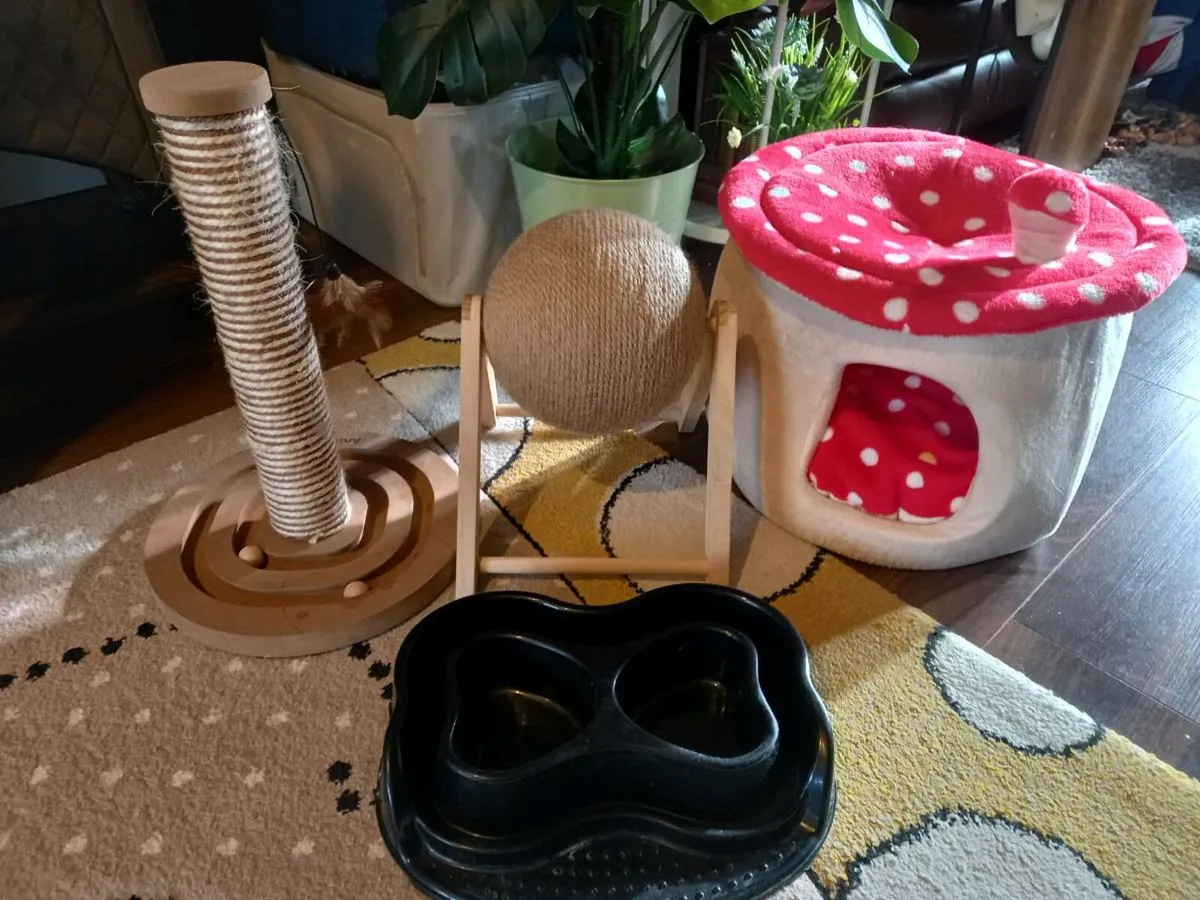 Cat post cat accessories - Image 2