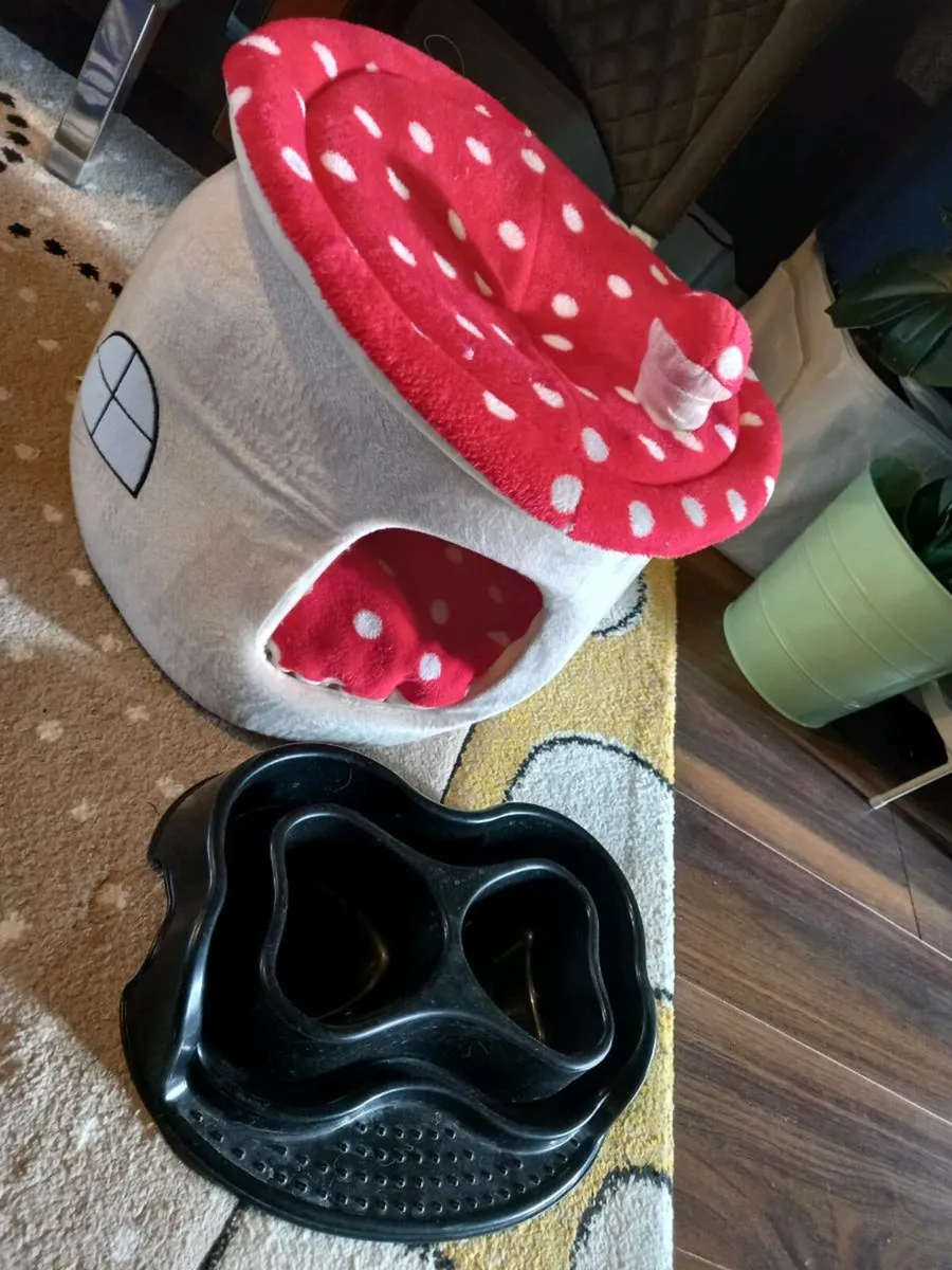 Cat post cat accessories - Image 4