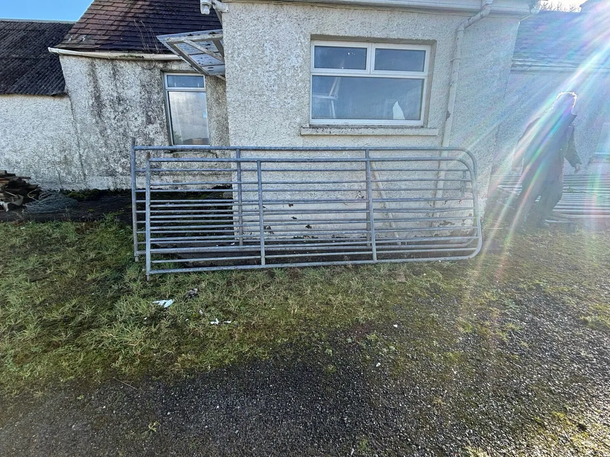 13ft galvanised sheep gates - Image 4