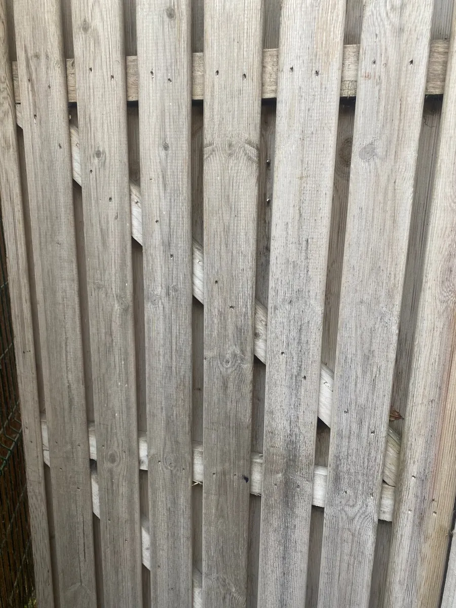 Garden side gate - Image 1